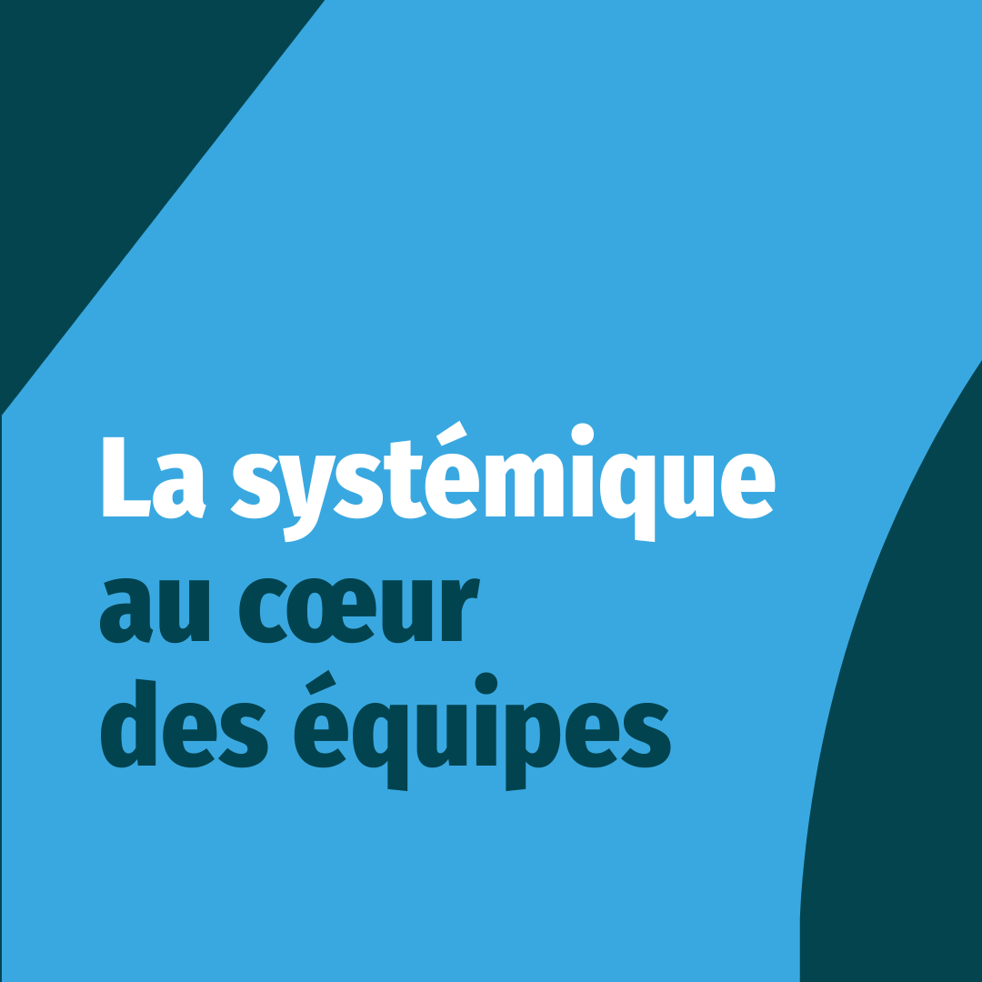 La systémique au cœur des équipes